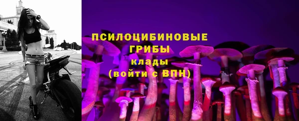 МДПВ Вязьма