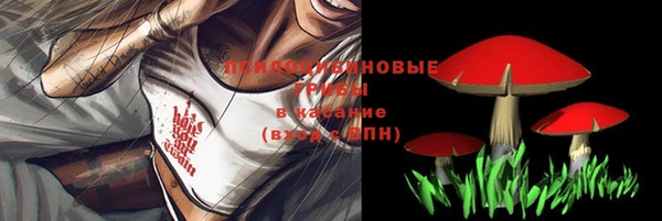mdma Вяземский