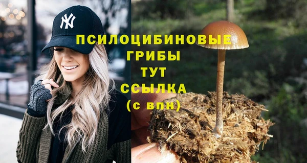 МДПВ Вязьма