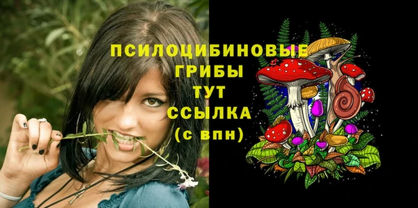 МДПВ Горнозаводск