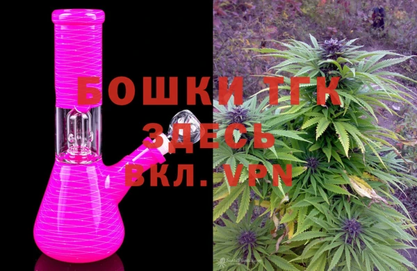 МДПВ Горнозаводск